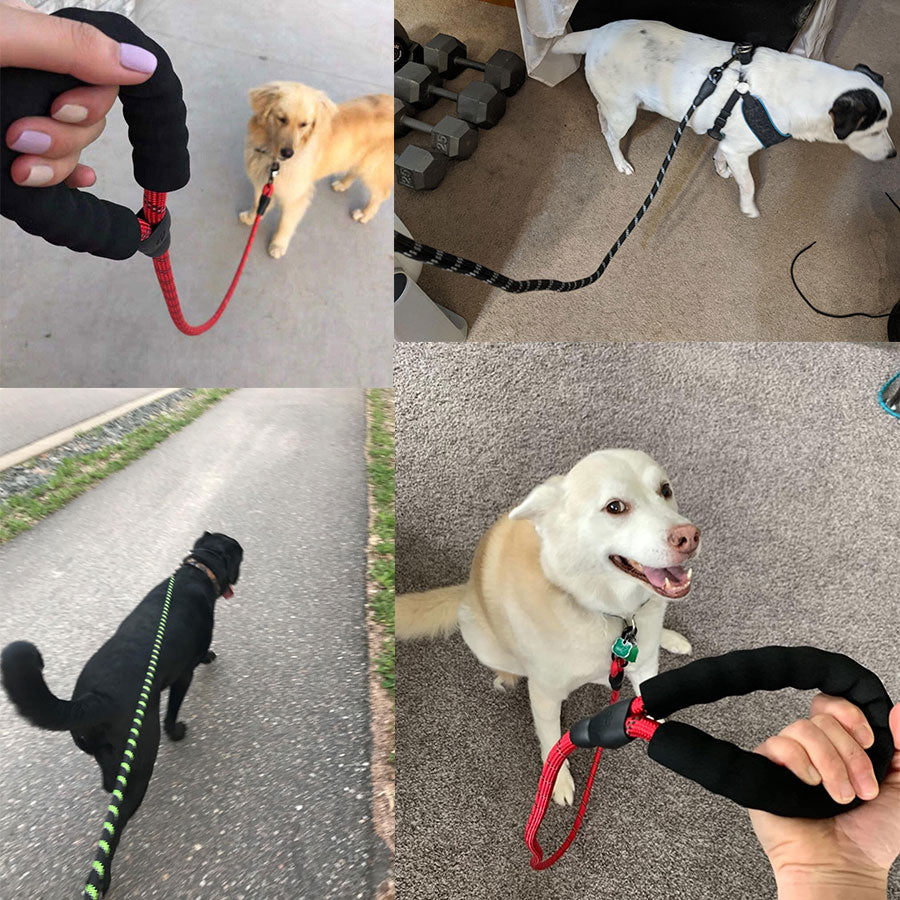 4,9' Reflective dog leash