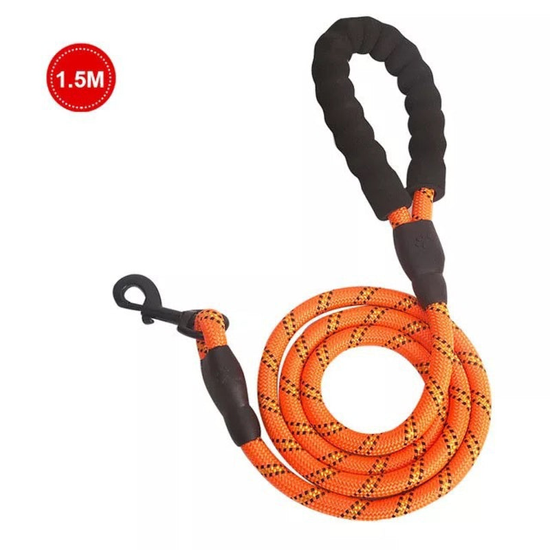 4,9' Reflective dog leash