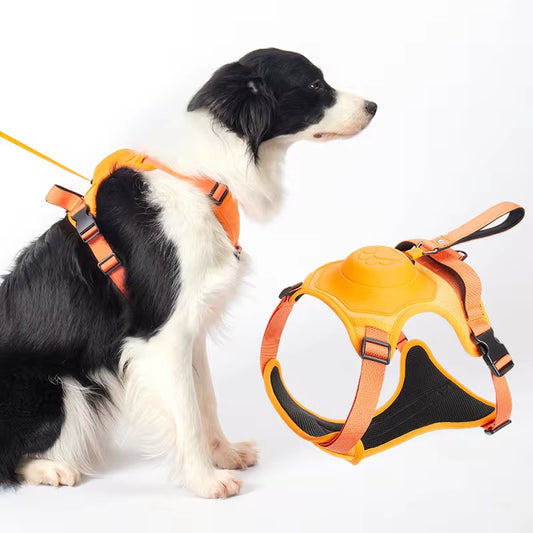 All in one Dog Harness and Leash 